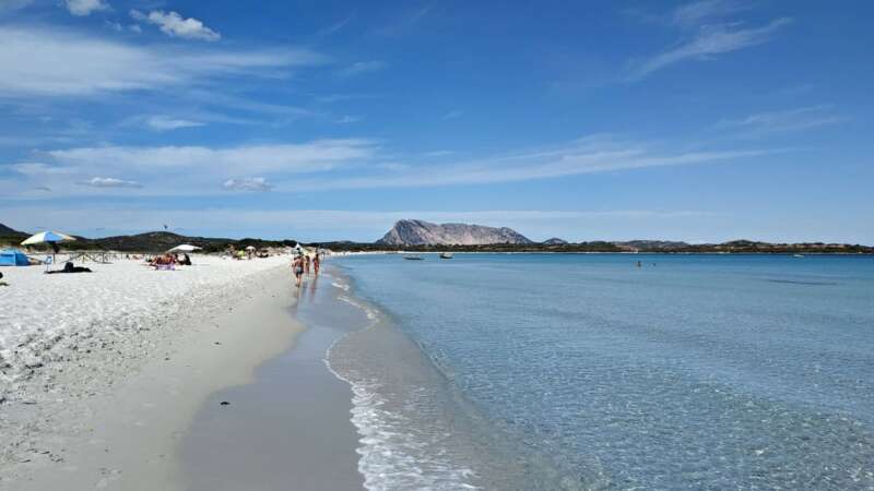 Pláž Spiaggia La Cinta patří k nejhezčím na Sardinii